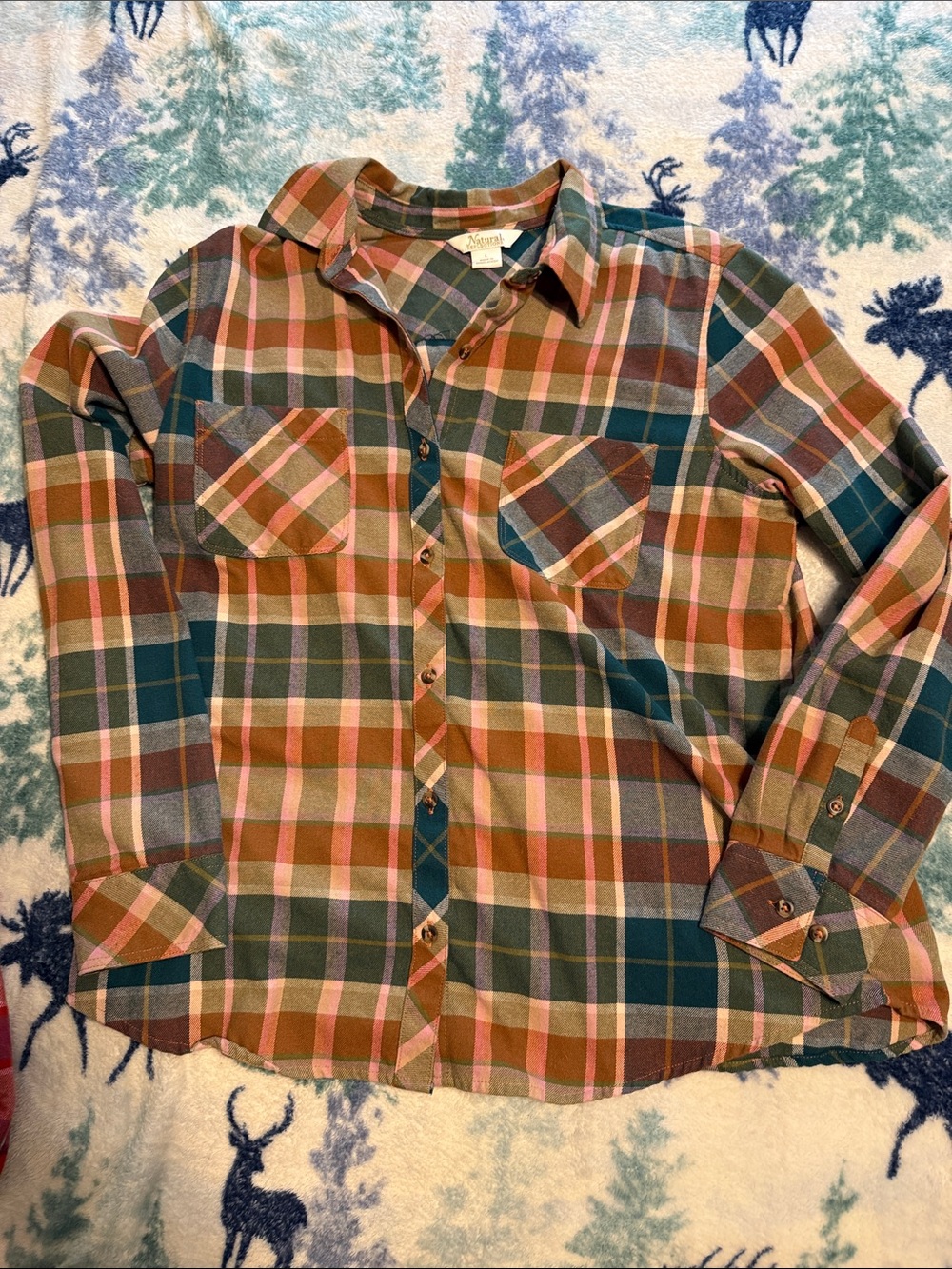 Natural Reflections Plaid Button-Down Shirt in Teal and Brown
